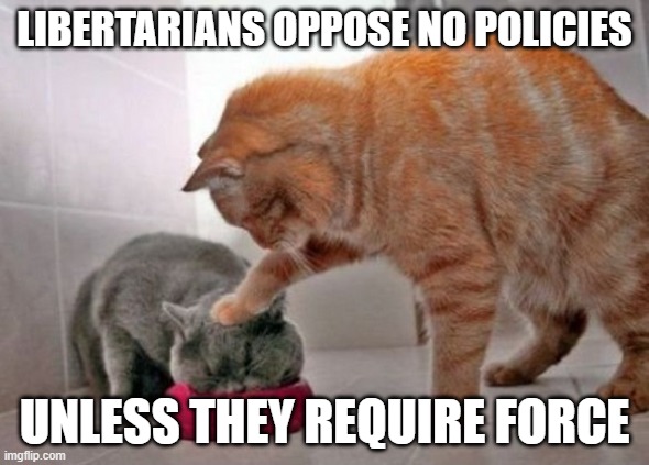 Libertarians oppose no policy*